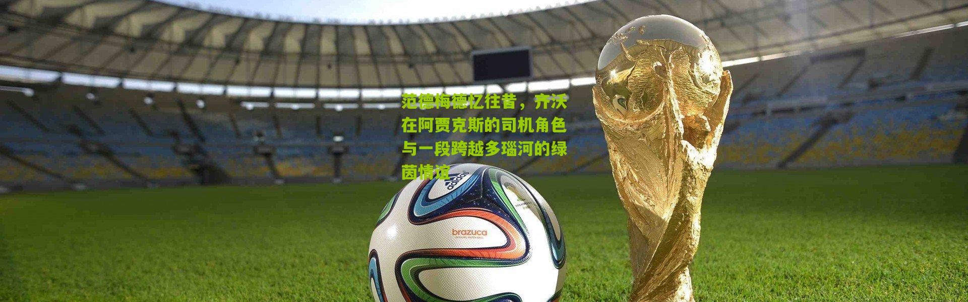 范德梅德忆往昔，齐沃在阿贾克斯的司机角色与一段跨越多瑙河的绿茵情谊