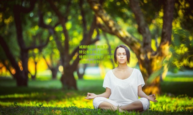 威斯特法伦再称王！德转公布全球上座榜，多特拜仁冠绝天下，英冠劲旅跻身前列