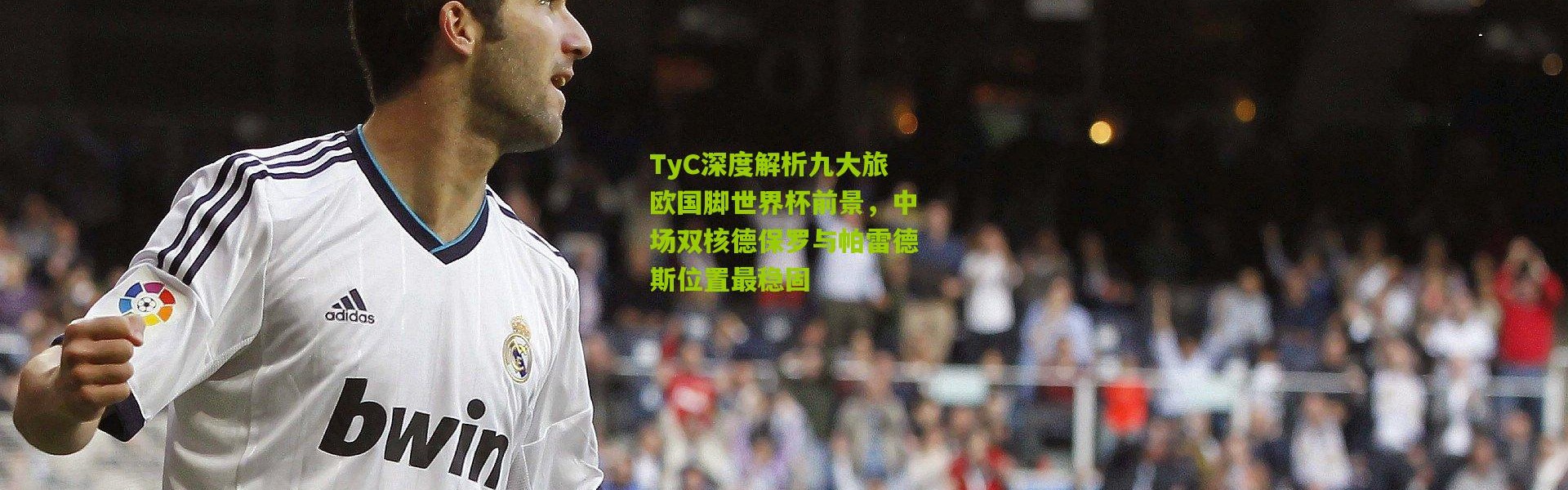 TyC深度解析九大旅欧国脚世界杯前景，中场双核德保罗与帕雷德斯位置最稳固
