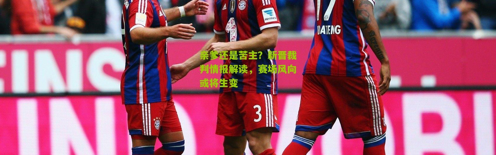 亲爹还是苦主？新晋裁判情报解读，赛场风向或将生变