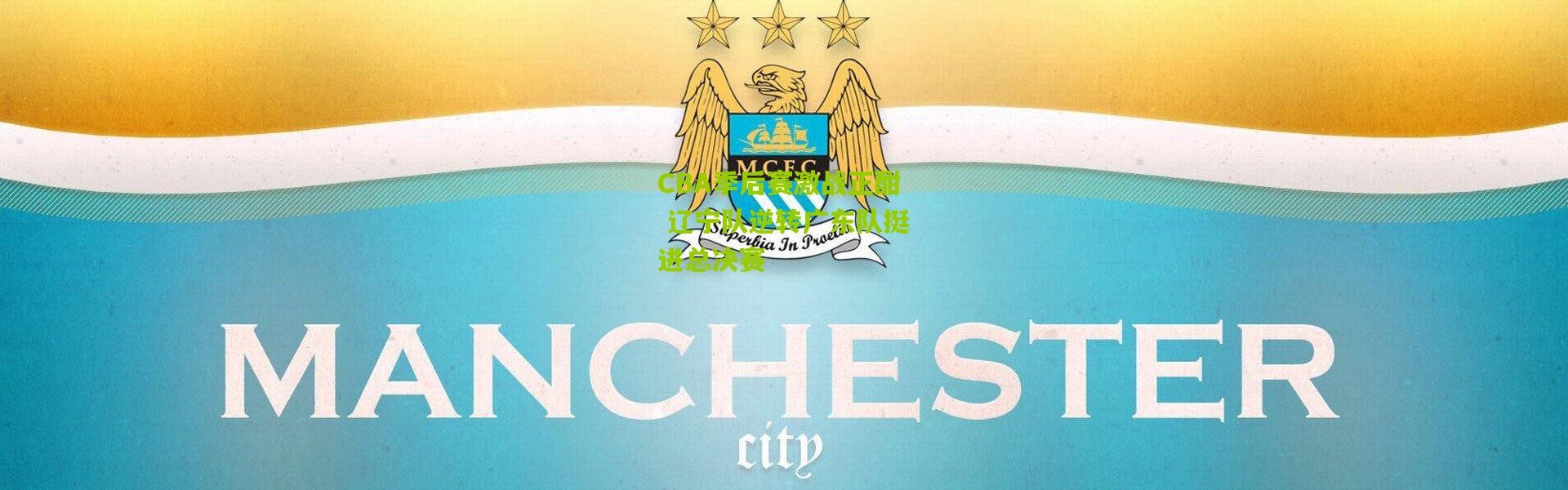 CBA季后赛激战正酣 辽宁队逆转广东队挺进总决赛