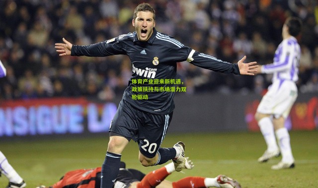 体育产业迎来新机遇，政策扶持与市场潜力双轮驱动