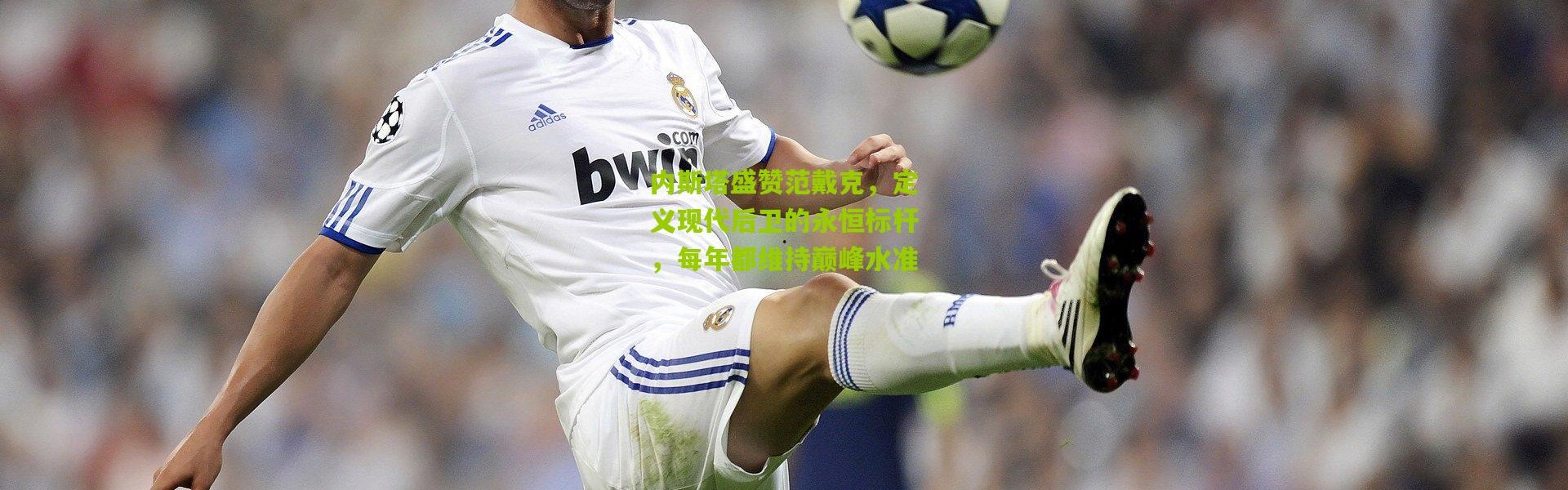 内斯塔盛赞范戴克，定义现代后卫的永恒标杆，每年都维持巅峰水准