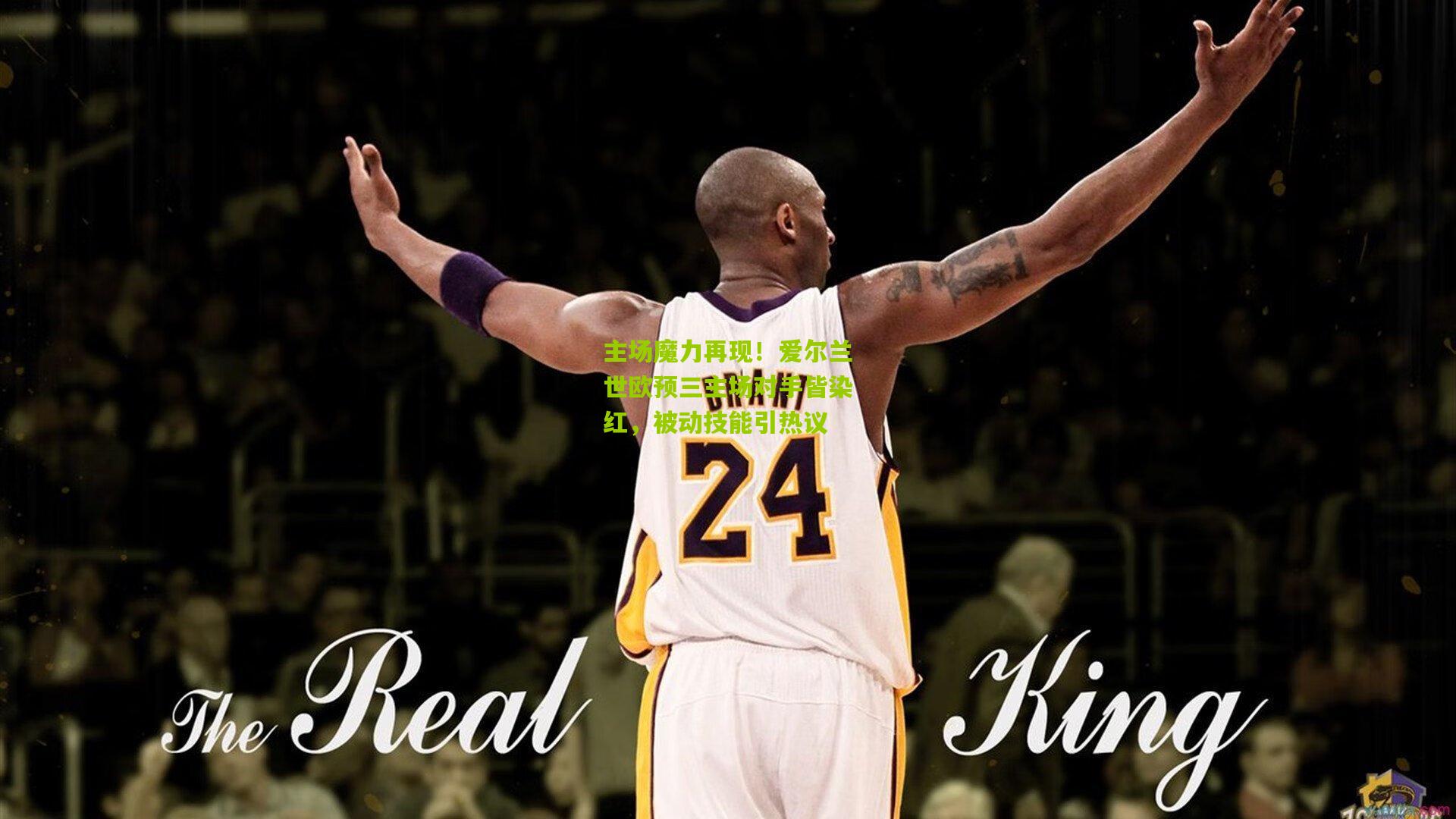 主场魔力再现！爱尔兰世欧预三主场对手皆染红，被动技能引热议