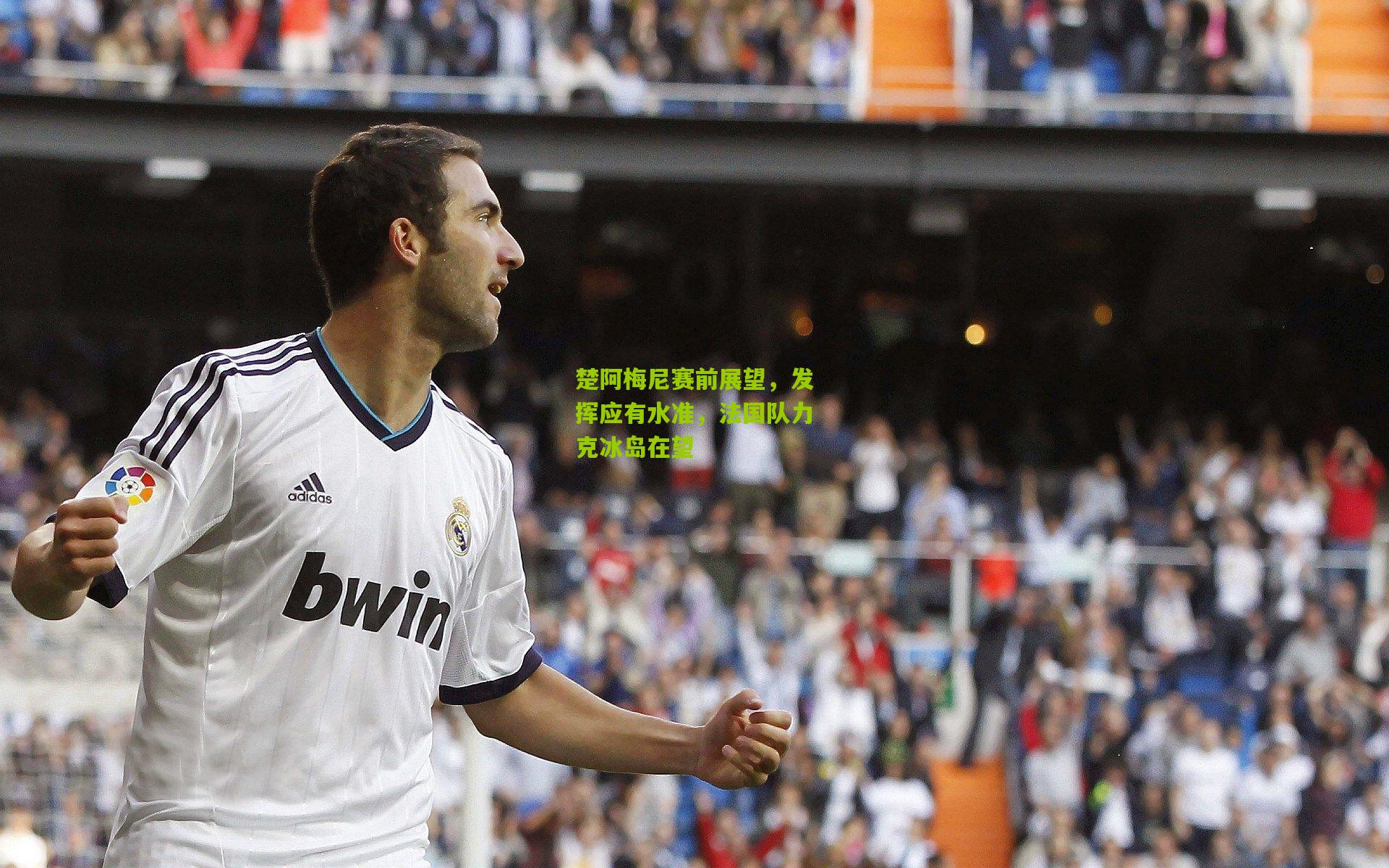 楚阿梅尼赛前展望,发挥应有水准,法国队力克冰岛在望